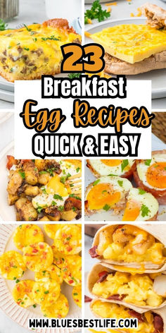 A collection of egg recipes. Easy Egg Dishes For Breakfast, Over Easy Egg Breakfast Ideas, Different Ways To Make Eggs Breakfast, Easy Make Ahead Egg Breakfast, Breakfast Kiesh Recipes Eggs, Healthy Breakfast Burrito, Breakfast Platter, Quick Breakfast Recipes