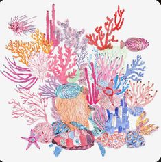 an image of colorful corals and sea creatures