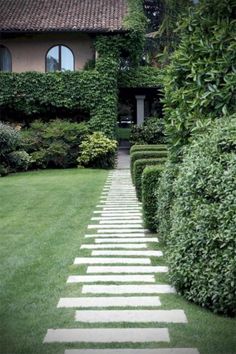 a stone path in the middle of a lush green yard with hedges and bushes on either side