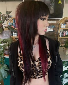 Emo Shag Haircut Long, 2024 Emo Hair, Emo Haircuts Long Choppy Layers, Emo Haircuts For Women, Short Haircuts For Women With Thick Hair, Rock Haircut For Women, Scene Girl Haircuts, Emo Haircuts Long, Hair Styles Emo