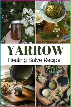 Yarrow Salve, Natural Electrolyte Drink, Balms And Salves, Herbal Salve Recipes, Healing Salve Recipe, Herbal Medicine Recipes, Herbal Remedies Recipes, Diy Herbal Remedies