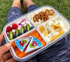 a person is holding a tray with different foods in it and the container has pretzels, berries, cucumbers, yogurt, strawberries