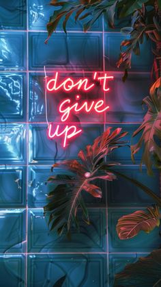 a neon sign that says don't give up