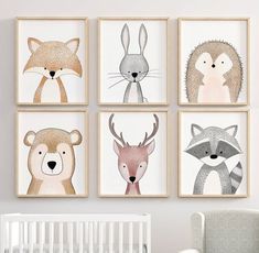 four framed pictures of animals on the wall in a baby's room with a crib