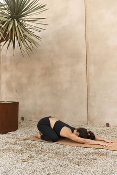 a woman is doing yoga in front of a potted plant