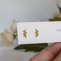 High Quality and Hypoallergenic earrings made with solid sterling silver and plated with 14K gold or platinum.    These dainty olive branch studs are trendy and perfect for everyday wear. It's cute and makes the perfect gift for any girls in your life. PRODUCT DETAILS - Sold in Pairs - Dimensions: 4 mm x 10 mm - Closure: Push back with butterfly backings - Plating: 14K Gold Plated or Platinum Plated - Main Material: 925 Sterling Silver - Hypoallergenic - Nickel & Lead Free SHIPPING & PACKAGING O Leaf Stud Earrings, Dainty Pierced Ear Climbers As A Gift, Minimalist 14k Gold Ear Climbers As Gift, Minimalist Gold Sterling Silver Ear Climbers, Dainty Yellow Gold Ear Climbers Gift, Tarnish Resistant Yellow Gold Ear Climbers For Gift, Dainty Ear Climbers As Gift, Dainty Ear Climbers With Ear Wire As Gift, Dainty Hypoallergenic Ear Climbers As Gift