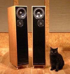 a black cat sitting in front of two speakers