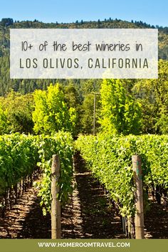 Best Wineries in Los Olivos, California California Wine Country Vacation, California Itinerary, Western Travel, California Road Trip, Wine Tasting Room, Wine Country California