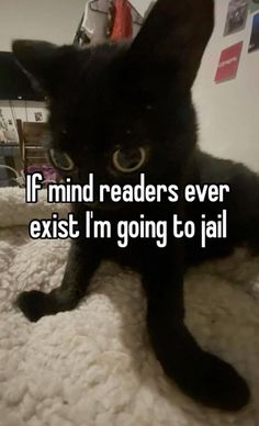 a black cat laying on top of a bed next to a white wall with the caption if mind readers ever exist i'm going to jail