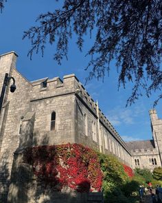 an old castle with red flowers growing on the side