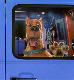 a dog with its mouth wide open looking out the side window of a blue truck