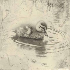 an old photo of a duckling swimming in the water with it's head sticking out