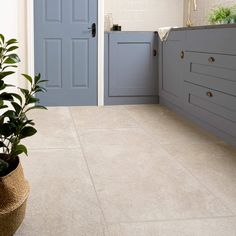 a potted plant sitting in front of a blue door on a tiled bathroom floor