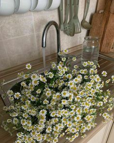 white daisies in a kitchen sink surrounded by hanging utensils and spoons