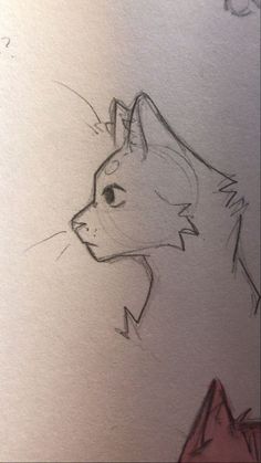 a drawing of a cat's head and tail