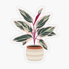 a potted plant with green leaves sticker