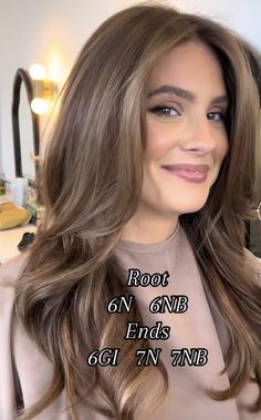 Old Money Brunette Okd Money Brunette Hair, Brunette To Light Brown Before And After, Old Money Brunette Short Hair, Brunette Hair Light Brown Highlights, Old Money Brunette Bronde, Khloe Kardashian Brunette Hair, Fall Hair 2024 Brunette, Brunette Old Money Hair, Old Money Dark Hair