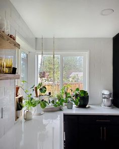 the kitchen is clean and ready to be used as a place for potted plants