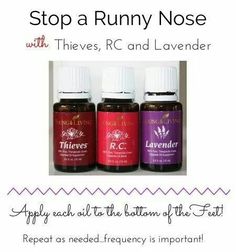 Young Living Essential Oils - how to stop a Runny Nose Rc Essential Oil Young Living, Rc Essential Oil, Young Living Oils Recipes, Living Oils Recipes, Young Living Diffuser, Essential Oils For Headaches, Essential Oils For Kids