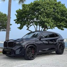 a black suv parked in front of a tree on the side of a road next to water