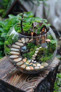 a glass bowl filled with plants and rocks on top of a wooden stump in the middle of a garden