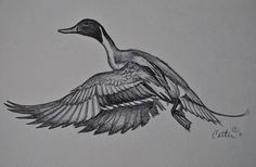 a drawing of a duck flying in the air