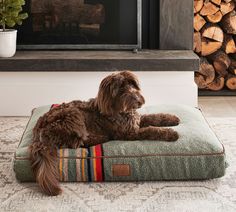 a brown dog laying on top of a green pillow in front of a fire place