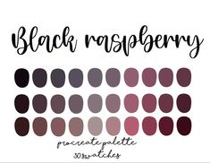 the black raspberry palette is shown in different shades and sizes, including red, purple