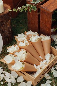 there are many flowers that are in the wooden box on the grass and petals all over the ground