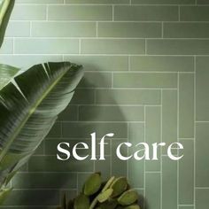 Sage Green Spa Aesthetic, Sage Green Aesthetic Skincare, Selfcare Green Aesthetic, Green Cleaning Aesthetic, Sage Green Aesthetic Vision Board, Spa Center Aesthetic, Skin Care Green Aesthetic, Green Selfcare Aesthetic, Sage Green Esthetics