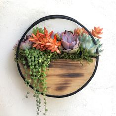 Oriana Succulent Table or Wall Planter. Apartment Decorating Wall, Decor For Top Of Kitchen Cabinets, Fake Succulents Decor, Home Decor Ideas Apartment, Succulent Table, Plants Stand, Wall Plants, Succulent Wall Planter, Succulent Bouquet Wedding