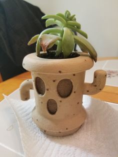 a small potted plant sitting on top of a white paper towel covered table cloth