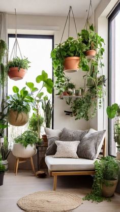 a living room filled with lots of potted plants