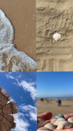 there are four different pictures with sand and shells