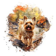 a painting of a small dog walking in the woods with autumn leaves around him and his tongue hanging out