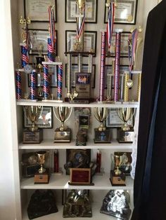 several trophies and plaques are displayed on shelves