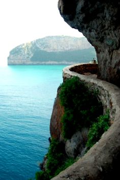 a view of the ocean from an overlook point on a cliff with grass growing out of it