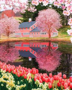 a red house surrounded by pink flowers and trees with water in the foreground on a sunny day