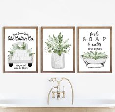 three bathroom wall art prints with plants in a mason jar and the cotton co bath tub