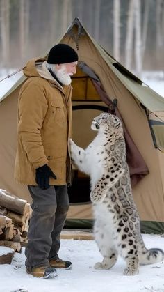 a man standing next to a snow leopard in front of a tent