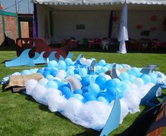 some blue and white balloons are on the grass