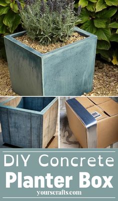 the diy concrete planter box is an easy and cheap project