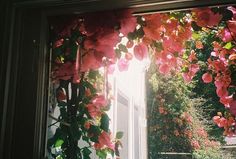 an open window with pink flowers on it