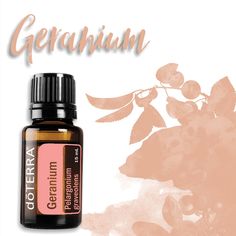 Doterra Geranium, Pelargonium Graveolens, Geranium Essential Oil, Essential Oil Uses, Oil Recipes