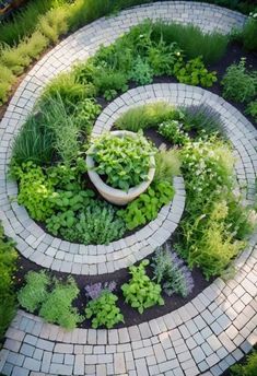 a circular garden with various plants in it