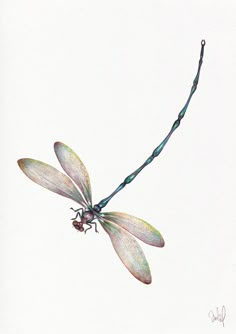 a drawing of a dragonfly on a twig