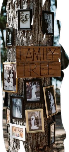 the family tree has many pictures on it