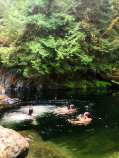 three people swimming in a river surrounded by green trees and rocks with water running through them