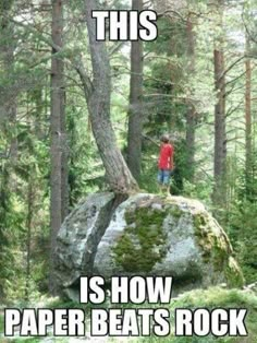 a man standing on top of a large rock in the middle of a wooded area