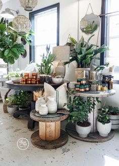 a room filled with lots of potted plants and other things on top of tables